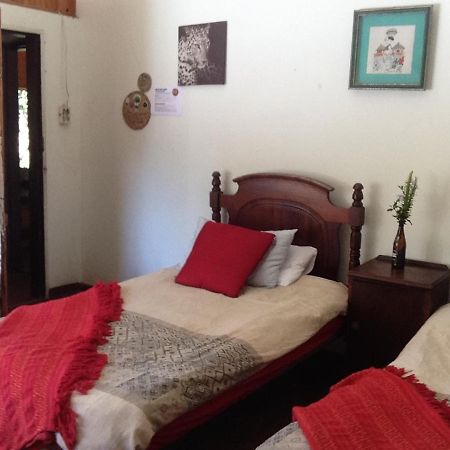 Dijembe Backpackers Lodge Stormsrivier Esterno foto