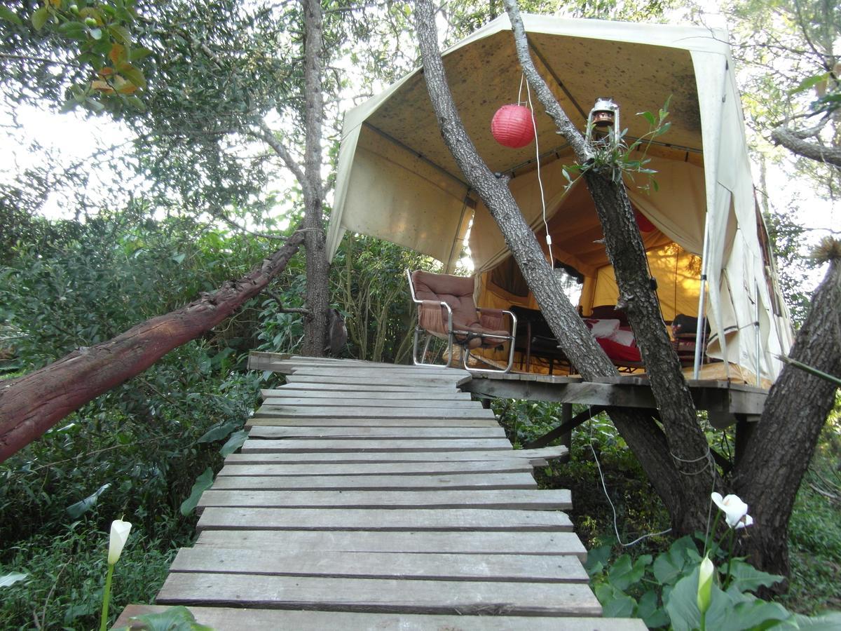 Dijembe Backpackers Lodge Stormsrivier Esterno foto
