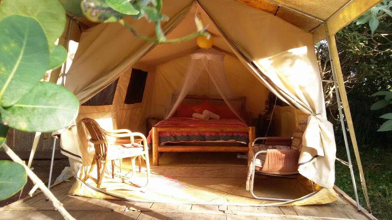 Dijembe Backpackers Lodge Stormsrivier Esterno foto