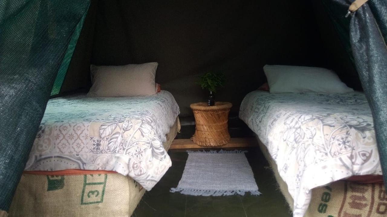 Dijembe Backpackers Lodge Stormsrivier Esterno foto